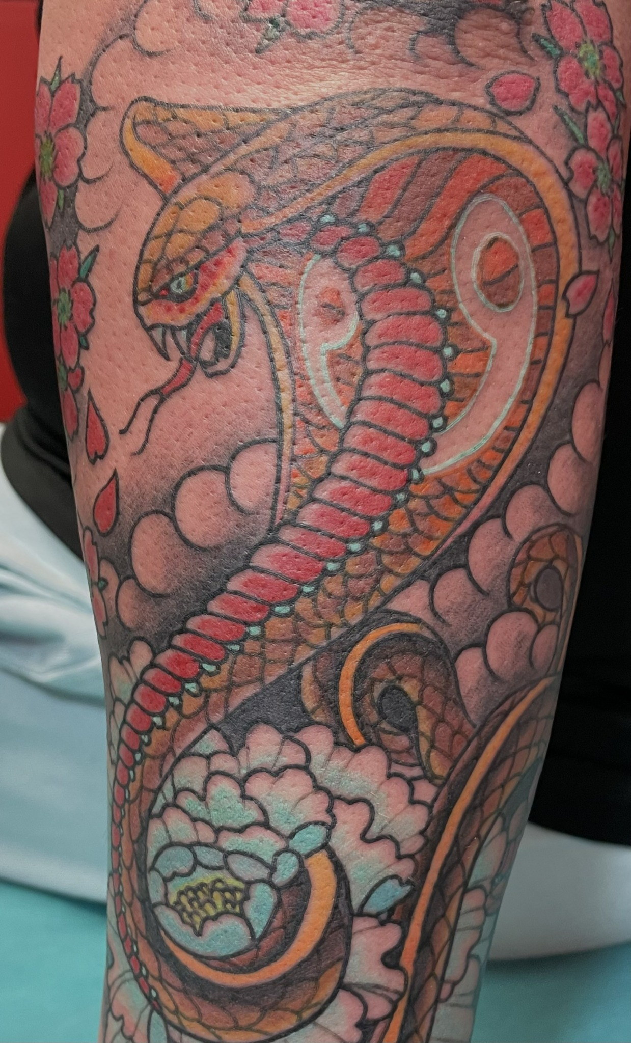 Color cobra cherry blossom tattoo by Dom at Last Hope Tattoo Company in Toledo